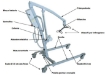 Picture of Alzamalati elettrico - Intermed- cod. SA-160