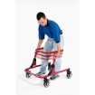 Picture of Deambulatori per bambini con rieducazione al cammino PACER MEDIO - Chinesport 01483