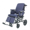 Picture of Carrozzine reclinabile e basculante BASCULA 300 - Chinesport xpb903.