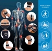 Picture of Magnetoterapia a bassa frequenza (CEMP) - I-tech ORTHOMAG